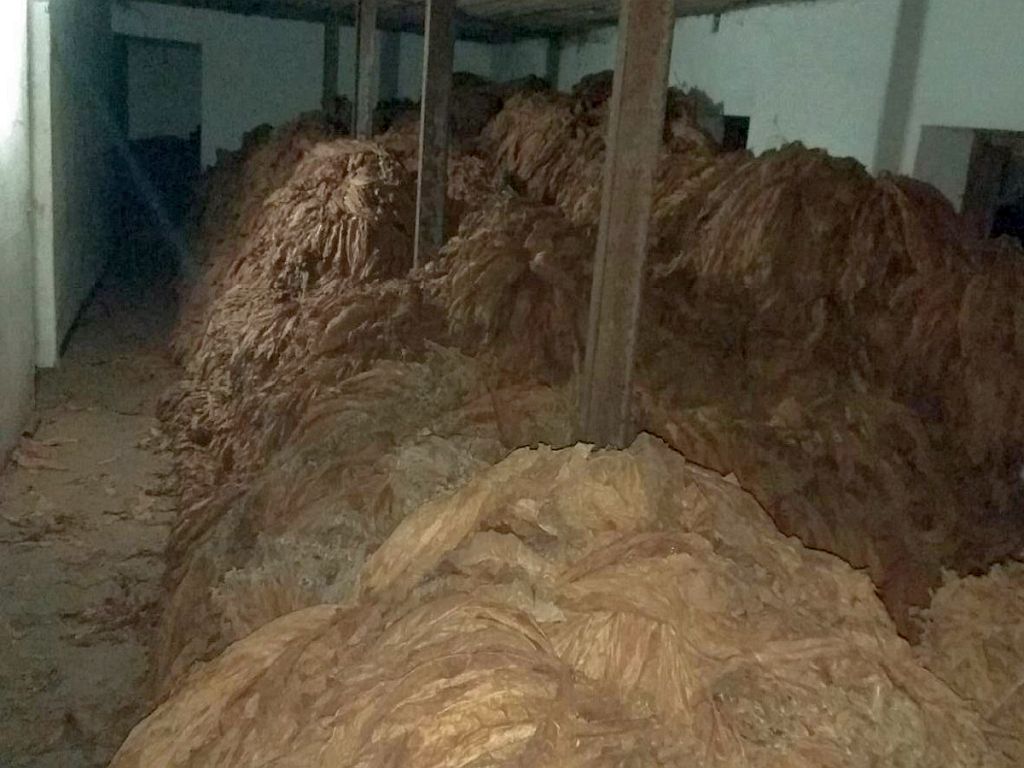 nielegalny handel tytoniem, powiat biłgorajski, Prokuratura Okręgowa w Zamościu