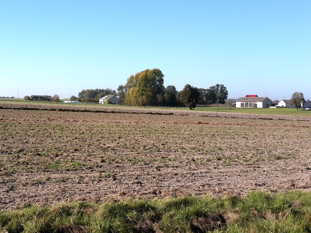 ustawa oddłużeniowa, Konrad Korzeniowski, długi