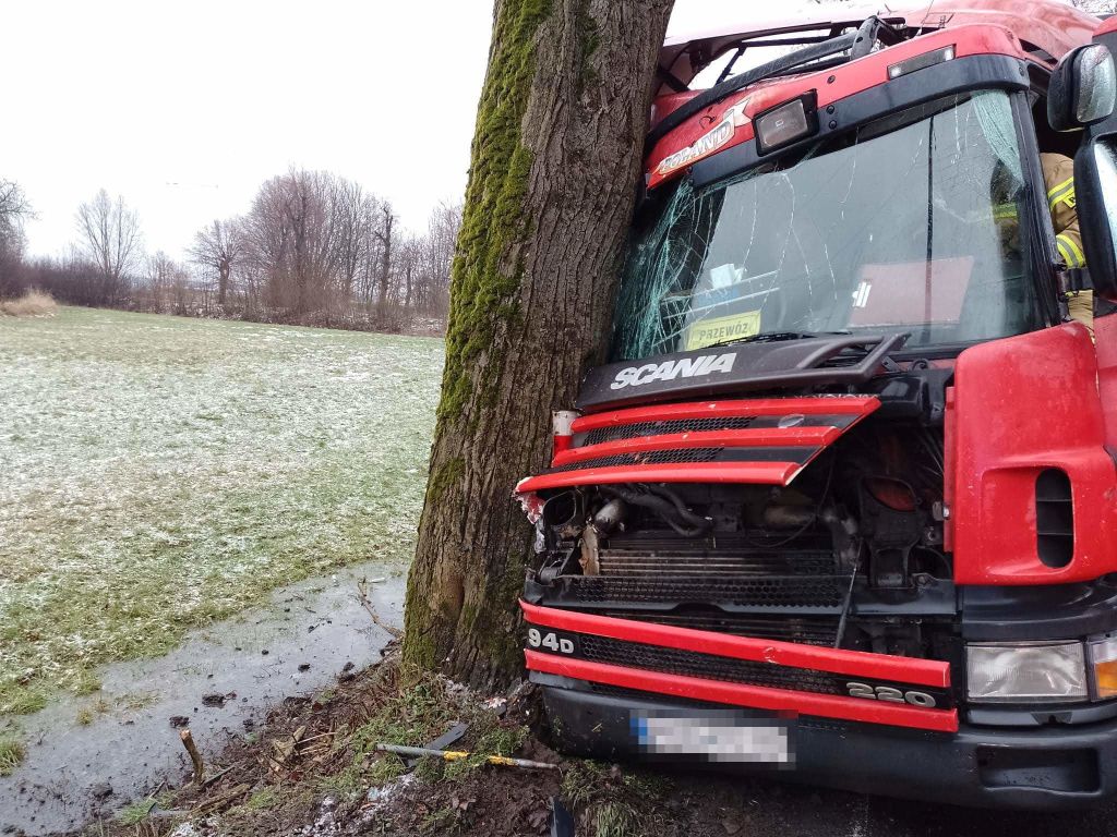 transport bydła, Borzęciczki, powiat krotoszyński, Mateusz Dymarski, KP PSP Krotoszyn