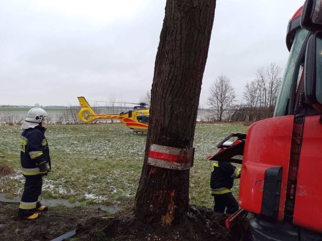 transport bydła, Borzęciczki, powiat krotoszyński, Mateusz Dymarski, KP PSP Krotoszyn