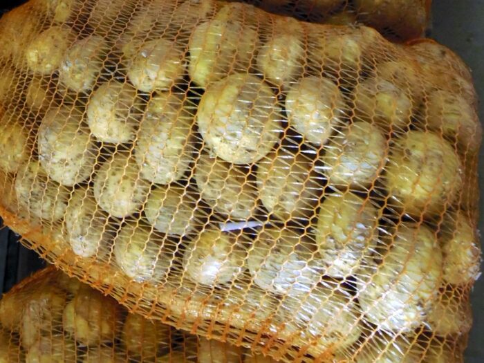 sadzeniaki ziemniaka, WIORiN w Łodzi, agrofagi kwarantannowe, śluzak ziemniaka