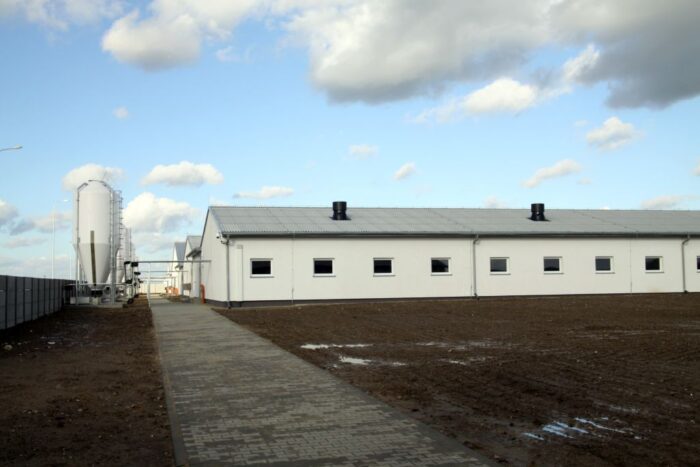 asf, bioasekuracja, tuczniki, giw