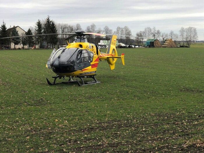 atak byka, obsługa zwierząt, powiat ostrowski, lpr