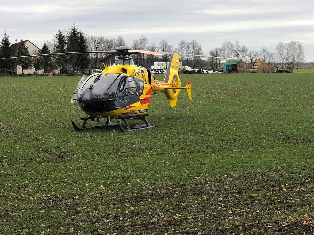 atak byka, obsługa zwierząt, powiat ostrowski, lpr