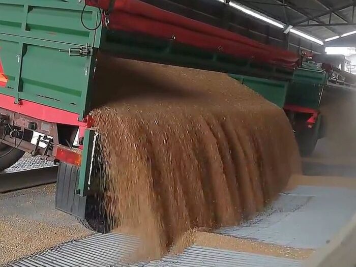 irwł, izba rolnicza województwa łódzkiego, ceny skupu, skup zbóż