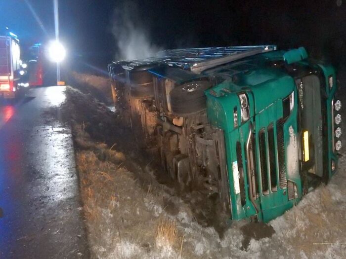 chodów, ciężarówka z krowami, wypadek z bydłem, kp psp koło