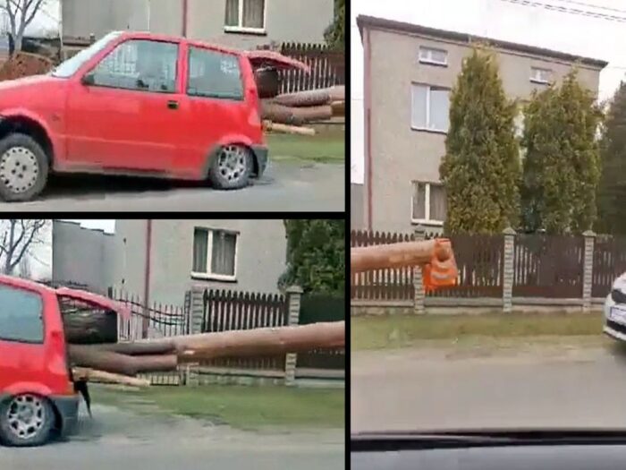 mikołów, śląskie, przewóz drewna, kpp mikołów