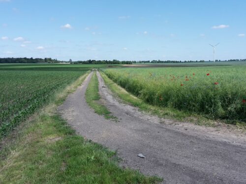 ekoschematy, dopłaty, partia twiterowych rolników, norbert kaczmarczyk