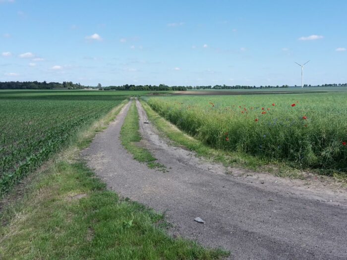 ekoschematy, dopłaty, partia twiterowych rolników, norbert kaczmarczyk