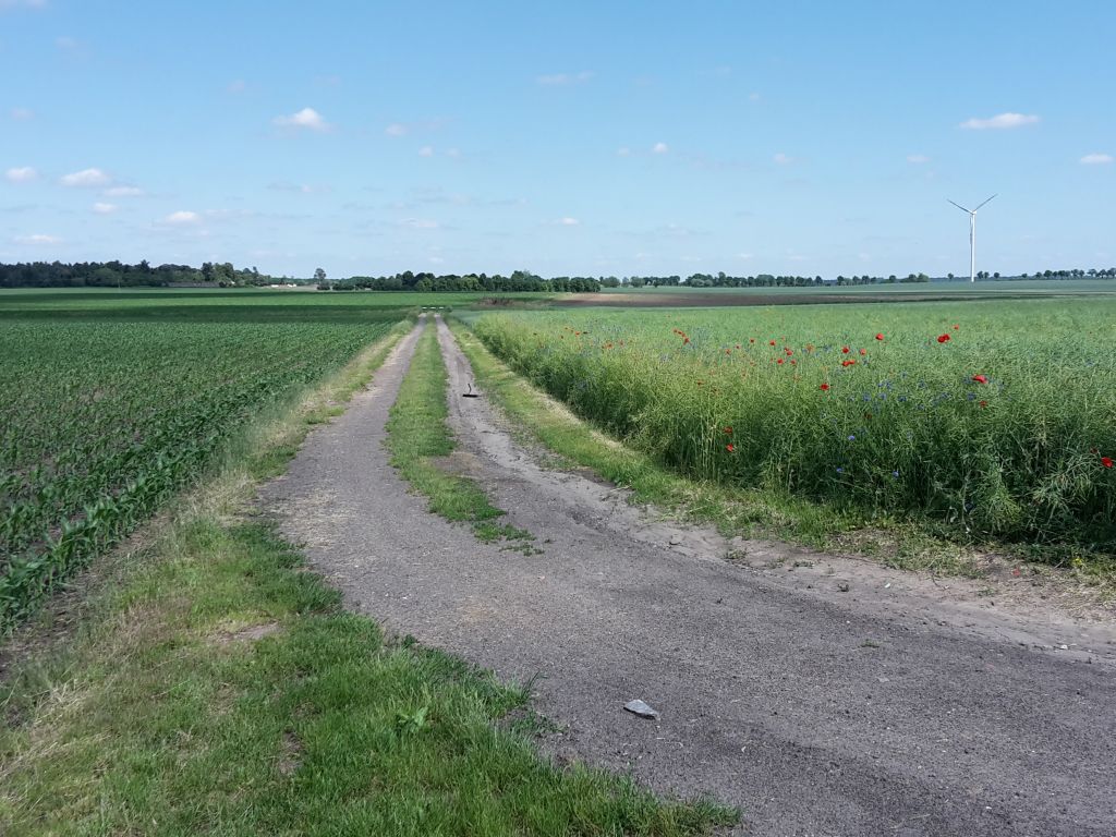ekoschematy, dopłaty, partia twiterowych rolników, norbert kaczmarczyk