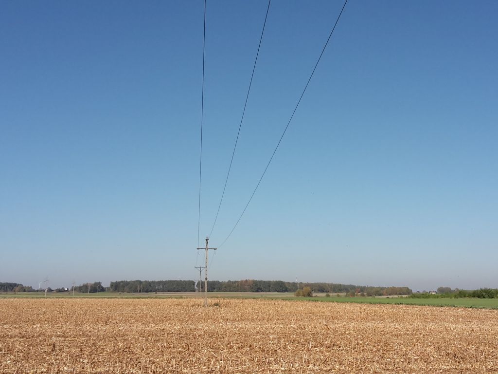 podlaska izba rolnicza, pir, linie energetyczne, odszkodowania, służebność