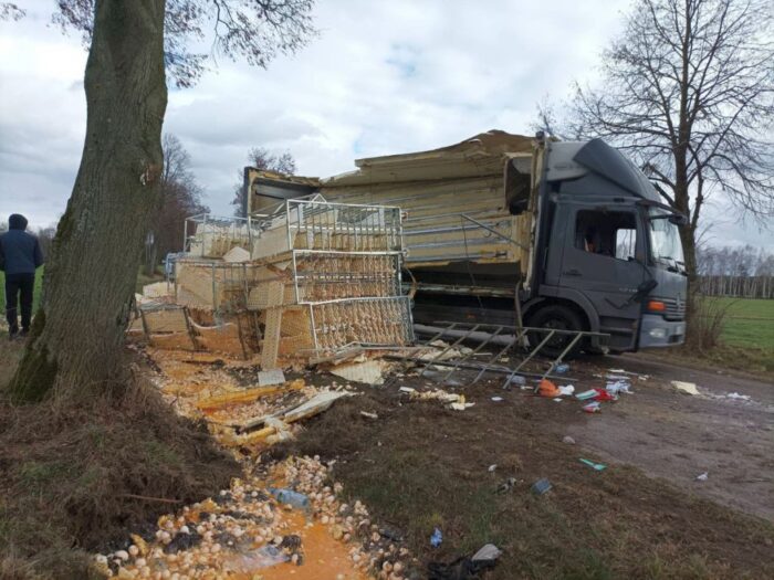 kpp mława, osp strzegowo, ciężarówka z jajami, wypadek, rozbite jaja