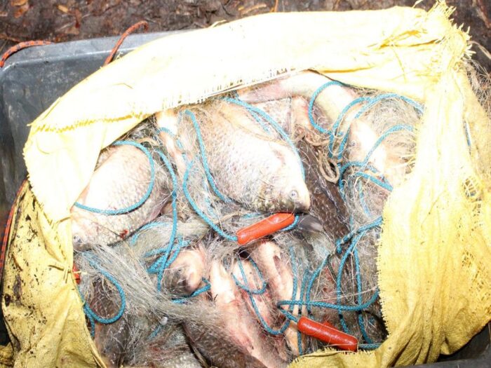 kłusownicy, nielegalny połów ryb, jezioro gopło, kpp inowrocław