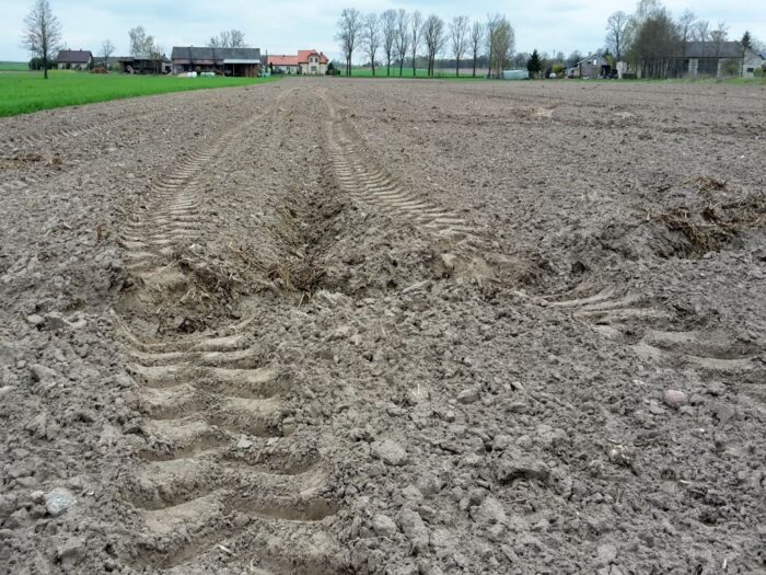 irg sgh, koniunktura w rolnictwie, badanie koniunktury, i kwartał w rolnictwie