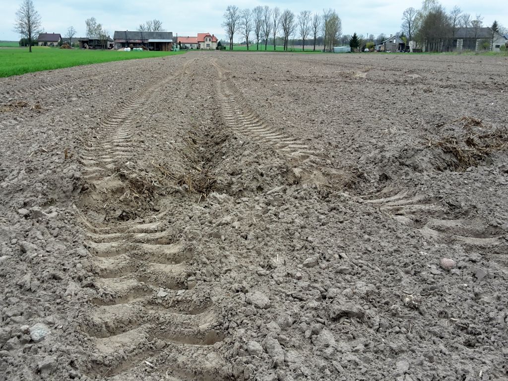 irg sgh, koniunktura w rolnictwie, badanie koniunktury, i kwartał w rolnictwie