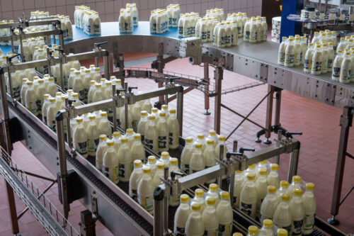 mleczarstwo, eksport, rynek indonzyjski