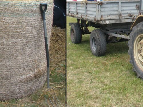 kpp sokółka, powiat sokólski, oszustwo, oszustwo w internecie