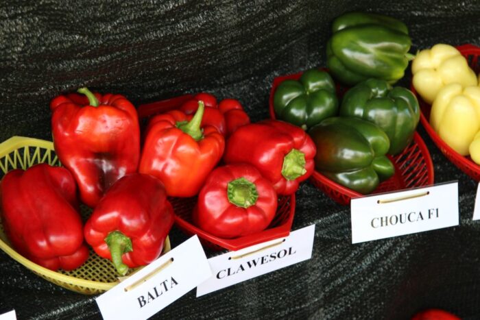 papryka, ceny warzyw, ceny owoców