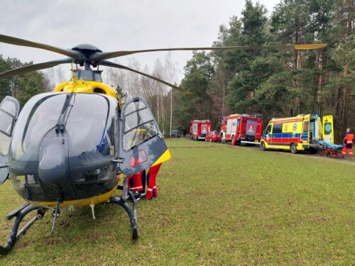 wypadek w lesie, prace leśne, olszewnica, powiat radzyński