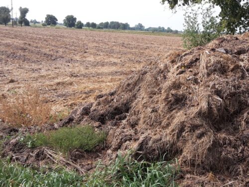 ekoschematy dopłaty rolnictwo węglowe przyoranie obornika oświadczenie zdjęcie geotagowane