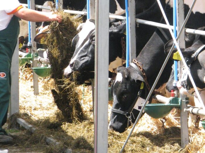 powołanie do wojska, ćwiczenia wojskowe, mon, szkolenia wojskowe, małopolska izba rolnicza