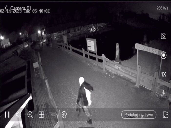 kradzież ryb, pstrągi, ośrodek hodowli pstrągów, kpp jawor