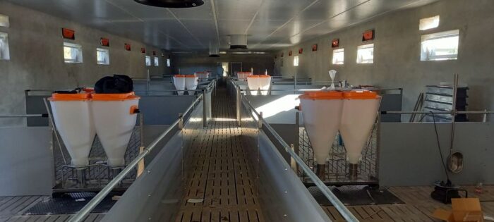 tuczniki, tuczarnia, trzoda chlewna, produkcja świń, chlewnia, wentylacja, ruszt, karmidła, Big Dutchman, bioasekuracja