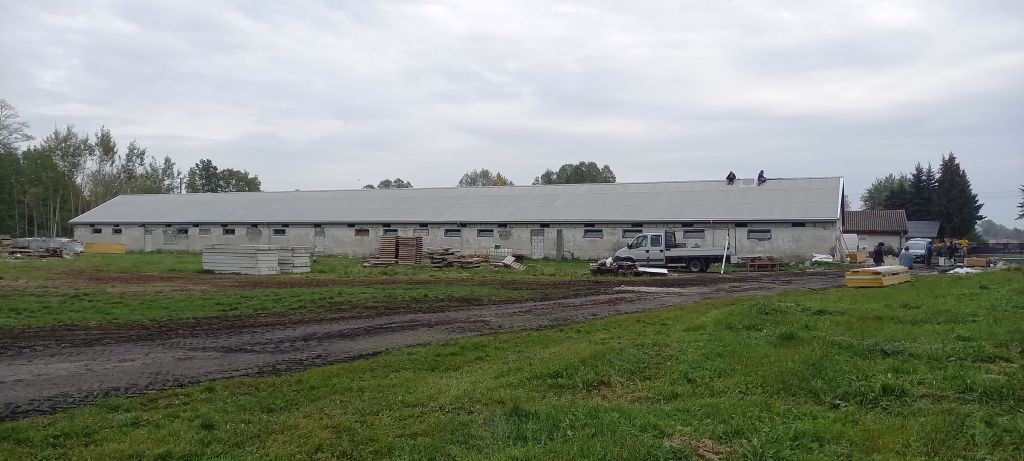 tuczniki, tuczarnia, trzoda chlewna, produkcja świń, chlewnia, wentylacja, ruszt, karmidła, Big Dutchman, bioasekuracja