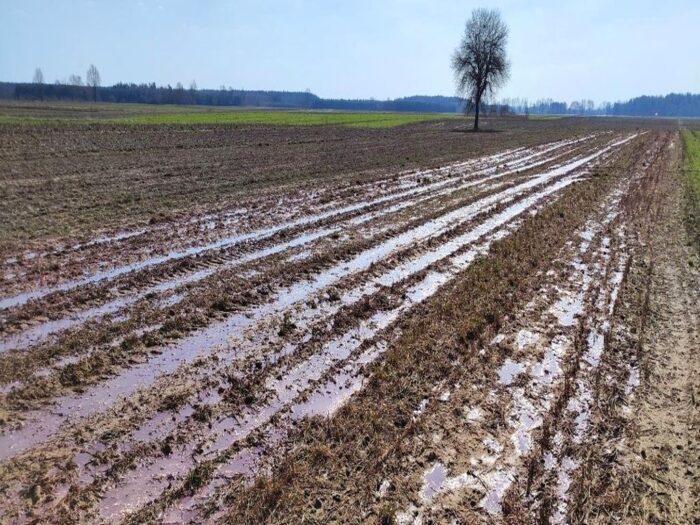 gioś, inspekcja ochrony środowiska, ścieki na polu, wylewanie ścieków