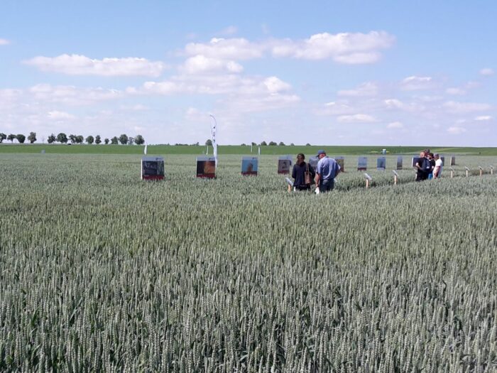 płatności dla rolników, kampania wniosków, krir, doradcy rolniczy, doradztwo rolnicze