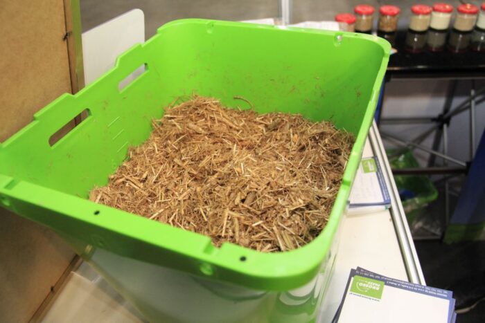 Targi Ferma, Bydgoszcz, DLG, produkcja zwierzęca, bydło mleczne, trzoda chlewna, rolnictwo,