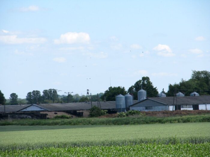 płatności bezpośrednie, wnioski o płatności, arimr, irwł, izba rolnicza województwa łódzkiego