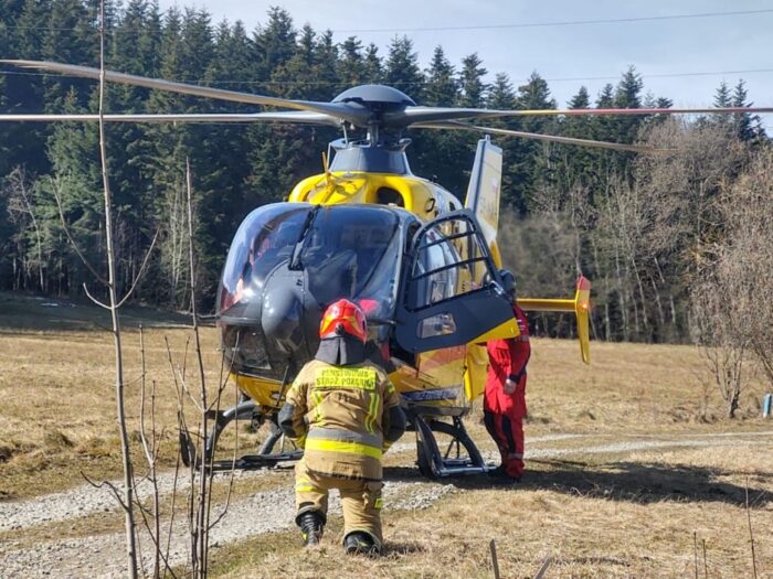 km psp nowy sącz, wypadek w lesie, uderzony przez konar, wycinka drzew