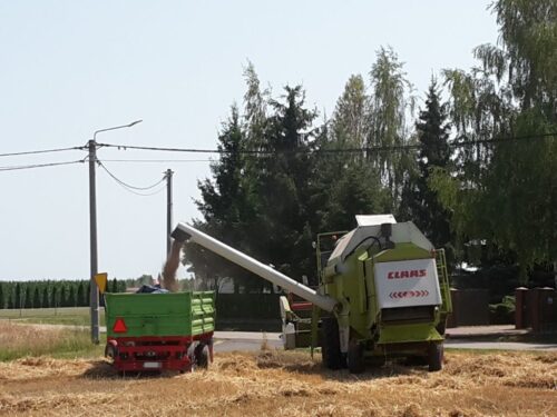 pomoc dla producentów zbóż, zboża z ukrainy, komisja europejska, janusz wojciechowski