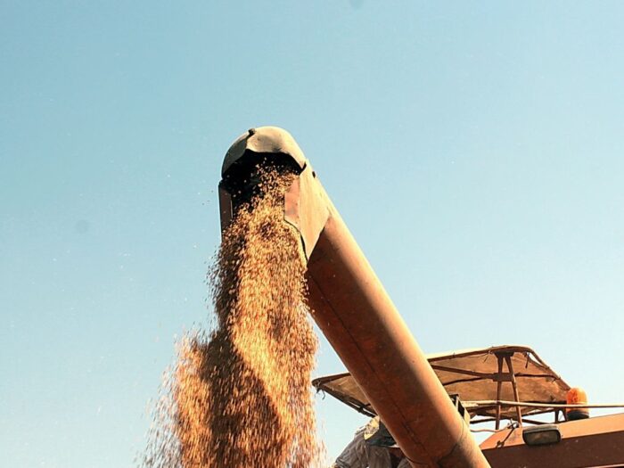 zboże z ukrainy, janusz wojciechowski, komisarz ds rolnictwa ue, handel z ukrainą