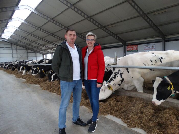 krowy mleczne, bydło mleczne, produkcja mleka, hodowcy bydła, obora wolnostanowiskowa, hala udojowa, bydło mleczne