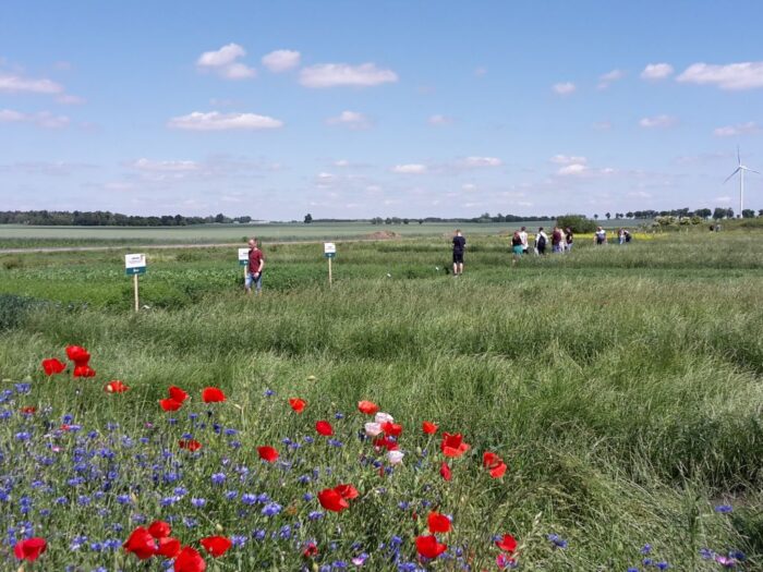 wir, wielkopolska izba rolnicza, wnioski o dopłaty, dopłaty, ekoschematy