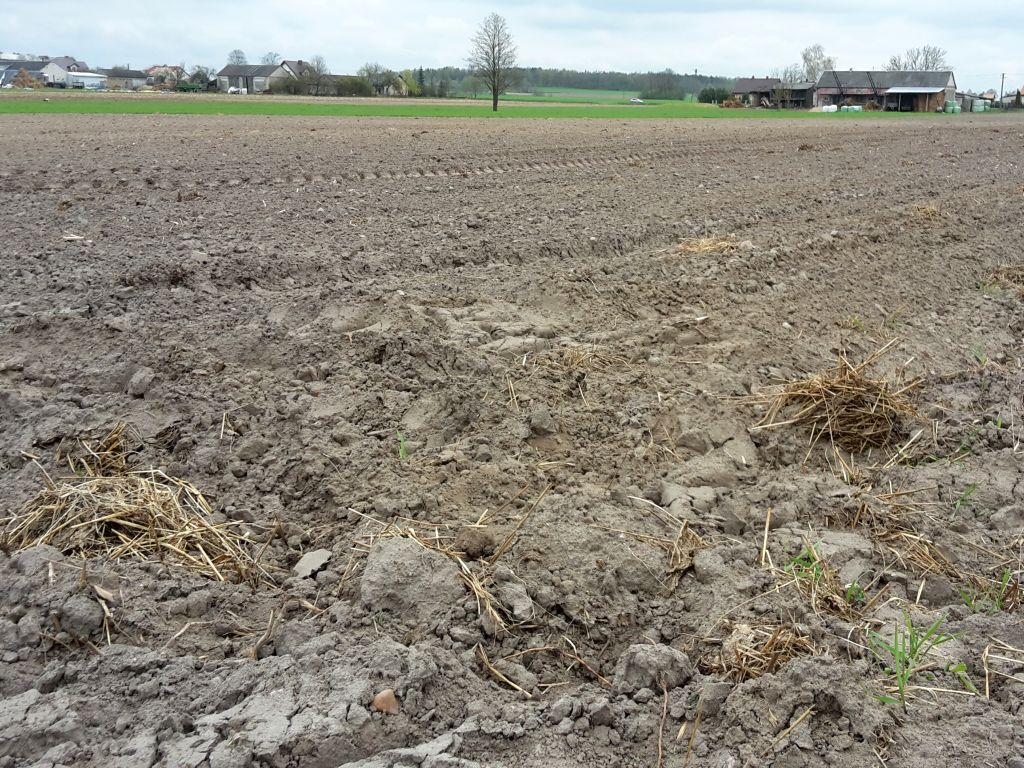 wir, wielkopolska izba rolnicza, wnioski o dopłaty, dopłaty bezpośrednie, ekoschematy