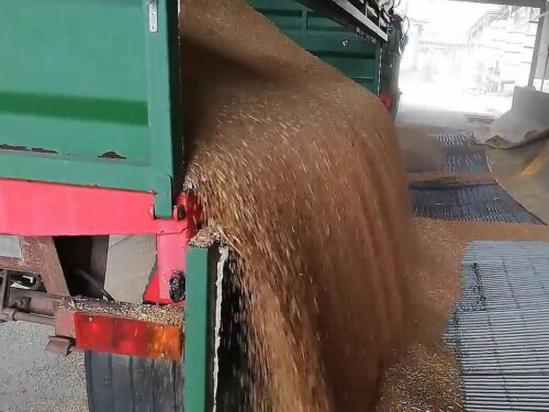 skup zbóż, stefan krajewski, elewarr, janusz kowalski