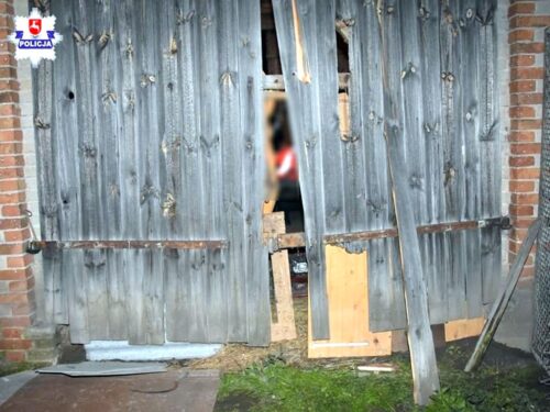 kmp zamość, kradzież, włamanie, stodoła, drób