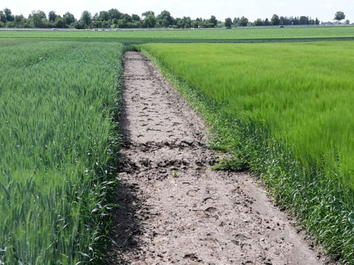 ukraina, zakaz, zboże, embargo, usa, kirby