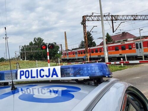 kpp nisko, pociąg, przejazd kolejowy, krowy
