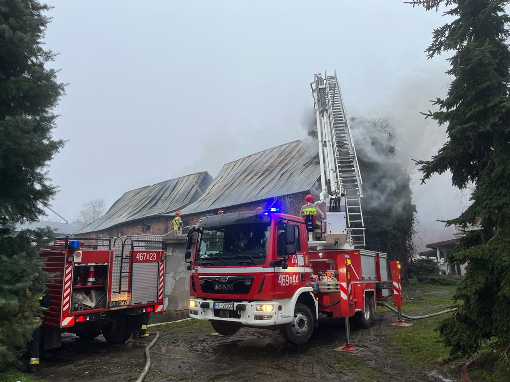 kp psp iława, pożar kurnika, hodowla drobiu, ferma drobiu