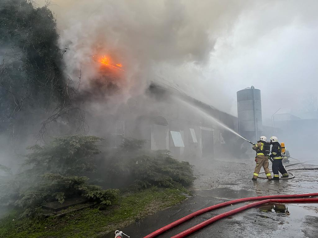 kp psp iława, pożar kurnika, hodowla drobiu, ferma drobiu