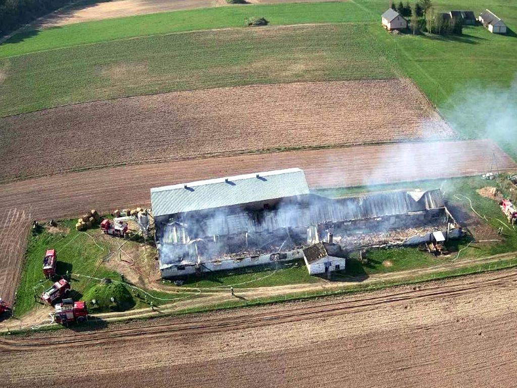 kw psp białystok, pożar kurnika, kurnik, ferma drobiu