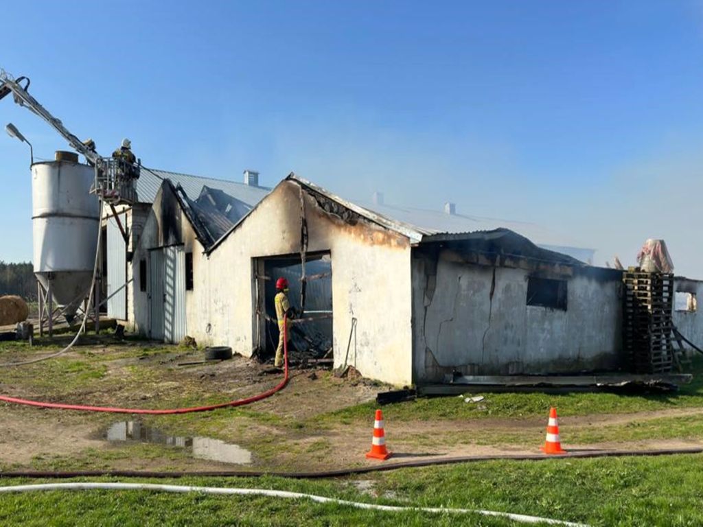 kw psp białystok, pożar kurnika, kurnik, ferma drobiu