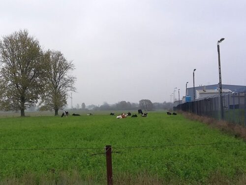 oze, odnawialne źródła energii, biogaz, biometan, wiatraki, ustawa