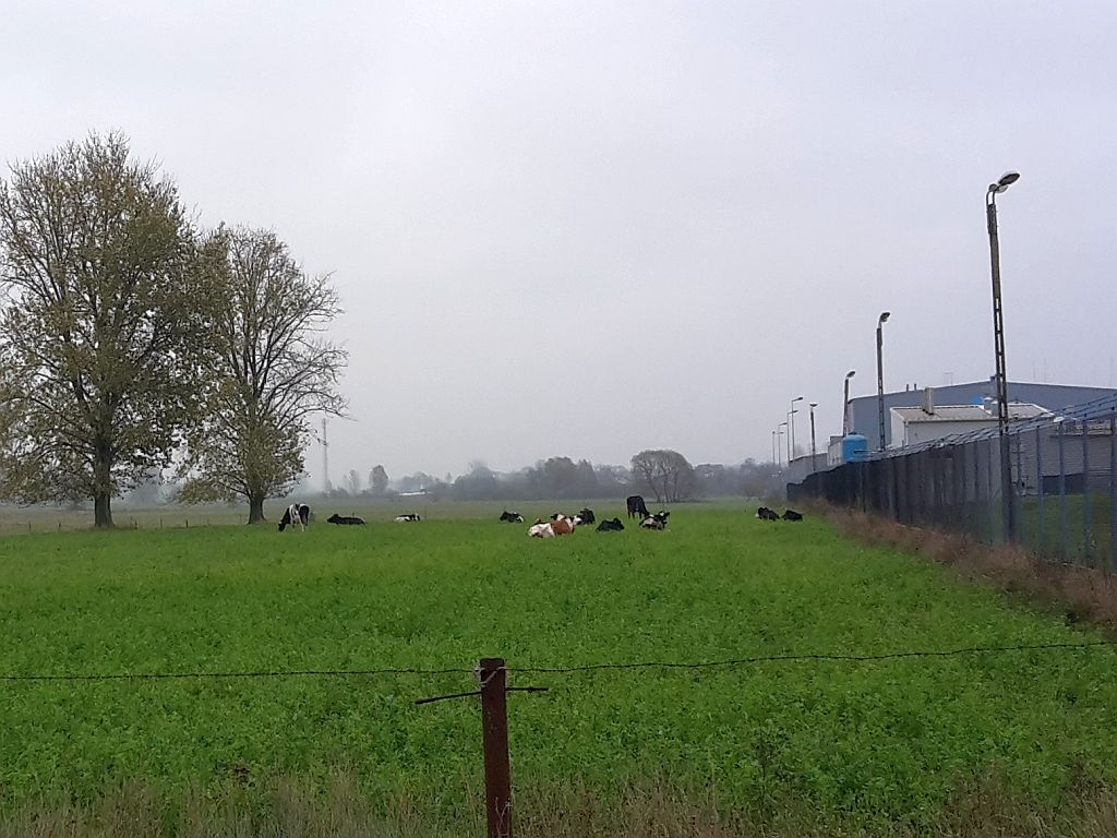 oze, odnawialne źródła energii, biogaz, biometan, wiatraki, ustawa