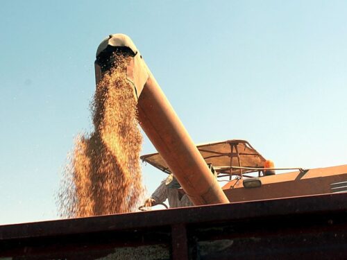 rynek zbóż, ministerstwo rolnictwa, zboża z ukrainy, robert telus, porozumienie