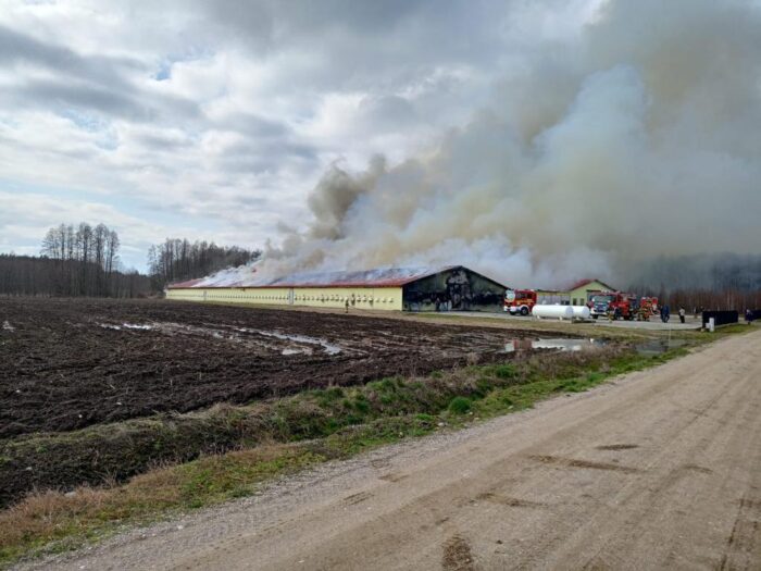 km psp białystok, pożar kurnika, podlasie, kurnik w ogniu